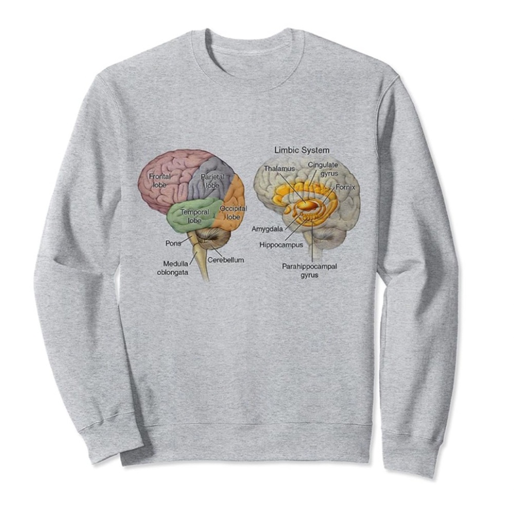 Brain Diagram Sweatshirt